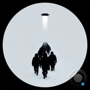 FORMS - Axis Motus (2026)