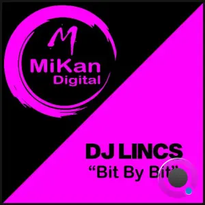DJ LINCS - Bit By Bit (2026)
