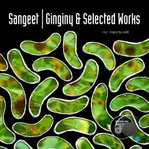 Sangeet - Ginginy & Selected Worx (2026)