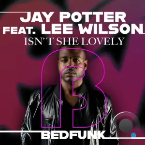 Jay Potter feat Lee Wilson - Isn't She Lovely (2026)