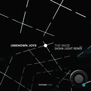 Unknown Joys - The Maze (2026)