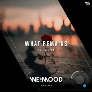 The Vision - What Remains (2026)