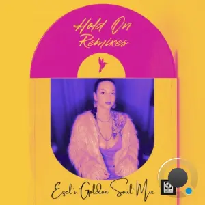MissFly - Hold On (Ezel's Golden Soul Remix) (2026)