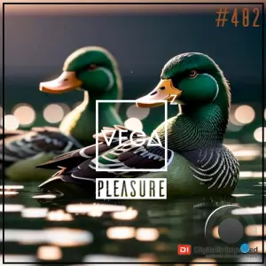 Vega Z - Pleasure 482 (2026-05-06)