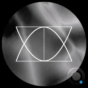 Patrick Siech - Vivid Grey (2026)
