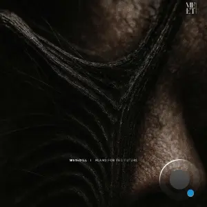 WhYsDiLL - Plans for the Future (2026)