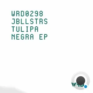 JBLLSTRS - Tulipa Negra (2026)