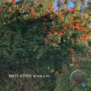 Matt Atten - M Walk XV (2026)