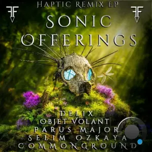 Haptic - Sonic Offerings (2026)