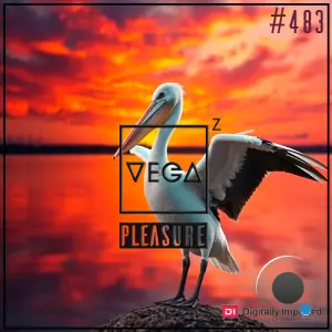 Vega Z - Pleasure 483 (2026-05-13)