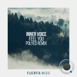 Inner Voice - Feel You (PoLYED Remix) (2026)