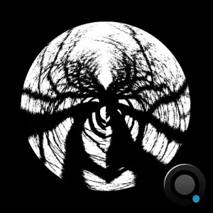 Phasmid - Dark Forest Theory (2026)