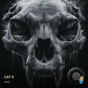 ADDJ - CAT 5 (2026)