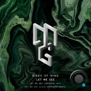 Birds of Mind - Let Me See (2026)