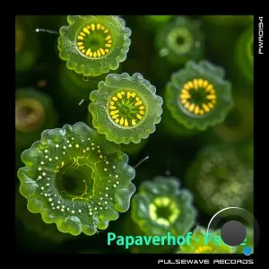 Papaverhof - Peace (2026)
