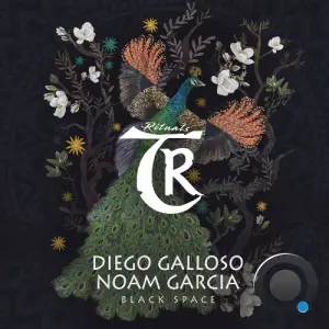 Diego Galloso, Noam Garcia - Black Space (2026)