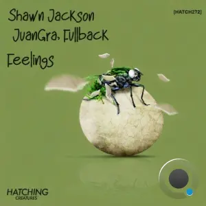 Fullback & Juangra & Shawn Jackson - Feelings (2026)