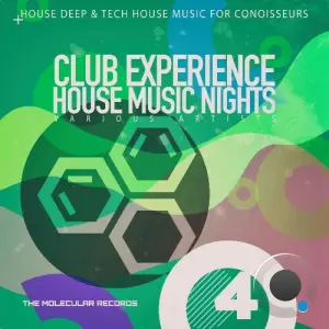 Club Experience: House Music Nights, Vol. 4 (2026)
