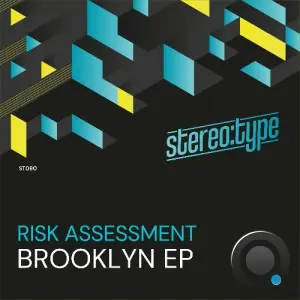 Risk Assessment - Brooklyn (2026)
