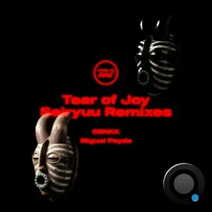 Tear of Joy - Seiryuu Remixes (2026)
