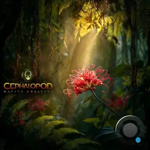 Cephalopod - Native Creative (2026)