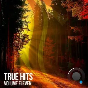 True Hits, Vol. 11 (2026)