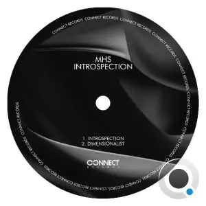 MHS - Introspection (2026)
