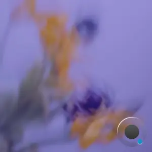 Enah - Take It Back (2026)