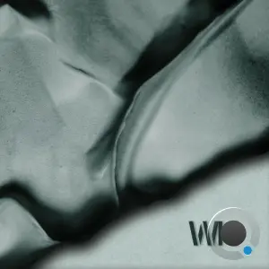R.Simon - Pulsing Synchrony (2026)