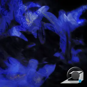Tuulacult - Kryo (2026)