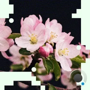 Applescal - Take Me Back / Turned (2026)