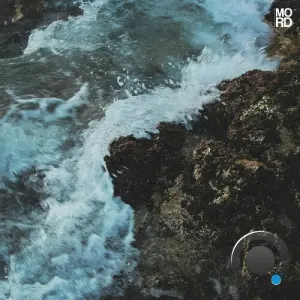 VSK - Alignment (2026)