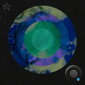 Anml Mthr - Cold Funktion (2026)
