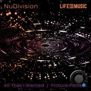 NuDivision - All That I Wanted / Picture Perfect (2026)