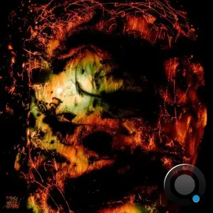 Identified Patient - Head Fuse (2026)