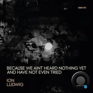 Ion Ludwig - Because We Ain't Heard Nothing yet and Have Not Even Tried (2026)