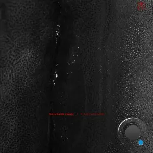 Shintarø Kanie - Flood Far Zone (2026)