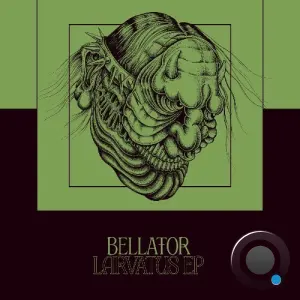 Bellator Larvatus (2026)
