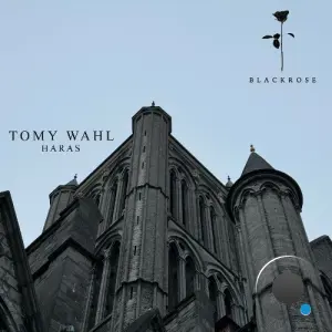 Tomy Wahl - Haras (2026)