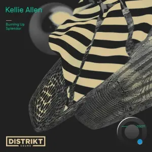 Kellie Allen - Burning Up (2026)
