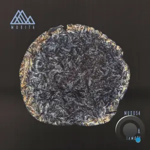 Tamasi - Terra (2026)
