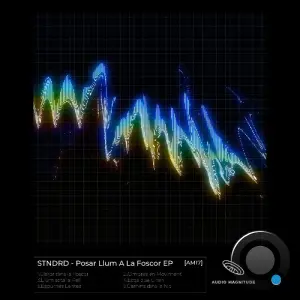 stndrd - Posar Llum A La Foscor (2026)