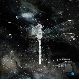 The Light of the Dragonfly (2026)