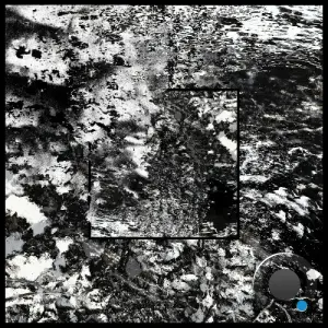 Ormbror - Suspekt (2026)