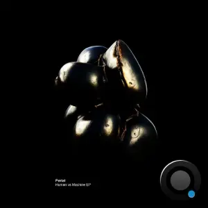 Pørtal (IT) - Human vs Machine (2026)