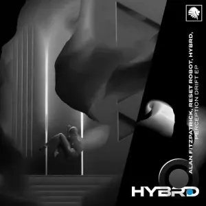 Alan Fitzpatrick, Reset Robot - Perception Drift (2026)