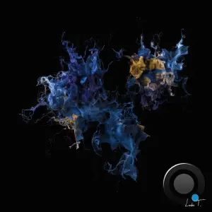 Aalson & Polygraph - Uncoded (2026)