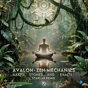 Avalon & Zen Mechanics - Naked, Stoned And Exalted (Starlab Remix) (2026)