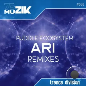 Puddle Ecosystem - Ari (Remixes) (2026)