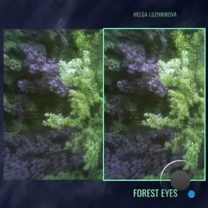 Helga Luzhnikova - Forest Eyes (2026 version) (2026)